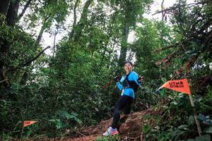 BIB: 
                            <button type="button" onclick="openModal(22643072)" class="btn btn-primary btn-sm float-right btn-popup" data-toggle="modal" data-target=".modal-high-quality">
                        <i class="fas fa-shopping-cart"></i> Add to Cart
                    </button>
                                            <button type="button" onclick="isThisMe(22643072, true)" class="btn btn-success btn-sm float-right btn-popup btn-isme hidden" data-toggle="tooltip" data-placement="bottom" title="นี่คือรูปของคุณใช่ไหม คลิกที่นี่เพื่อเอาเข้าอัลบั้ม">
                        <i class="fas fa-plus"></i> Add to album
                    </button>
                    <button type="button" onclick="isThisMe(22643072, false)" class="btn btn-warning btn-sm float-right btn-popup btn-isnotme hidden">
                        <i class="fas fa-ban"></i> Remove from album
                    </button>